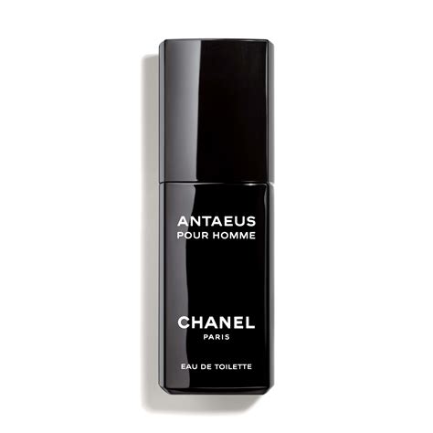 chanel antaeus cologne|chanel antaeus alternative.